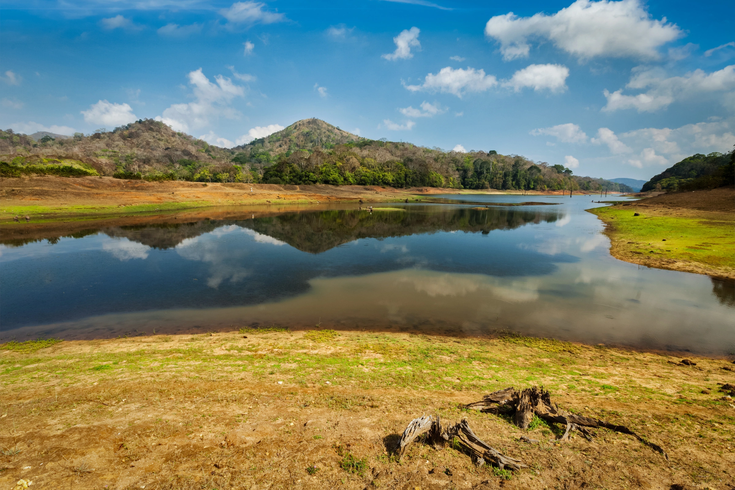 Periyar_National_Park[1].webp